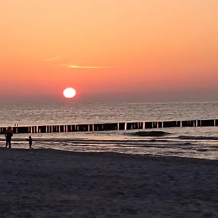 Dla Dwojga - Typu * Dziwnówek