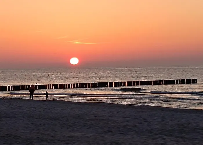 Dla Dwojga - Typu * 드지우노웨크